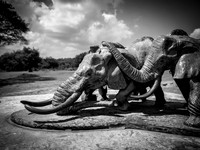 Anti-Poaching Memorial ~Nairobi National Park