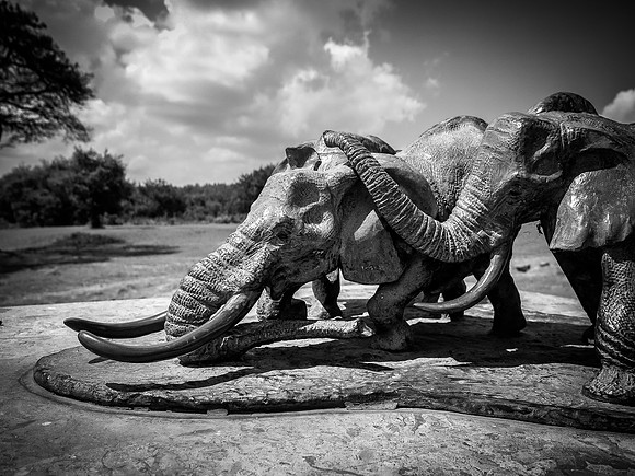 Anti-Poaching Memorial ~Nairobi National Park