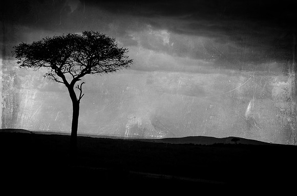 Silhouette  ~Maasai Mara