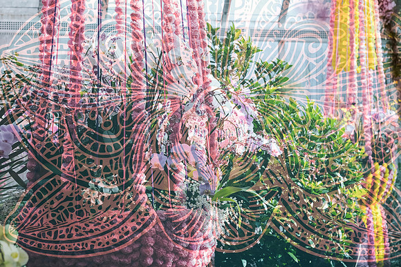 Chicago Botanic Garden Double Exposure ~Glencoe, IL