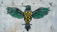 Culibri (Hummingbird) Street Art ~Otavalo