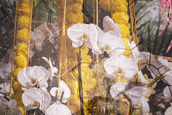 Chicago Botanic Garden Double Exposure ~Glencoe, IL