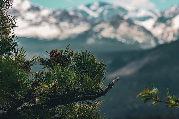Rocky Mountain National Park ~Boulder, CO