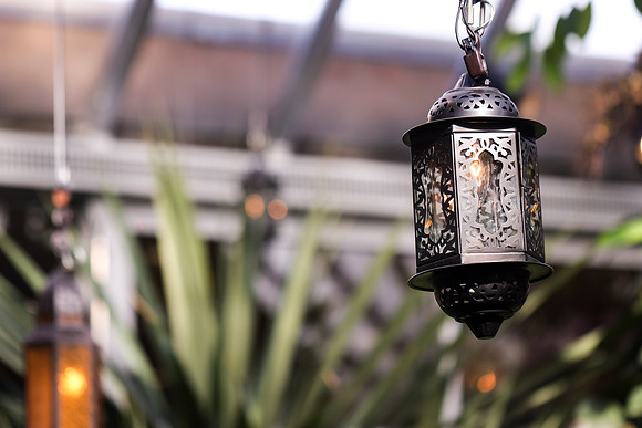 Hanging Lamp ~Chicago Botanic Gardens, Glencoe, IL