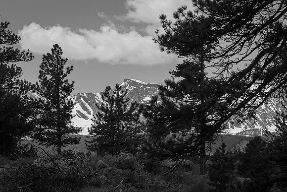 Rocky Mountain National Park ~Boulder, CO