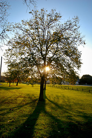 Silhouette ~Hoffman Estates, IL