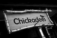 Chickadee ~Calumet, MI