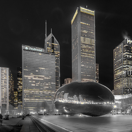 The Bean ~Chicago, IL