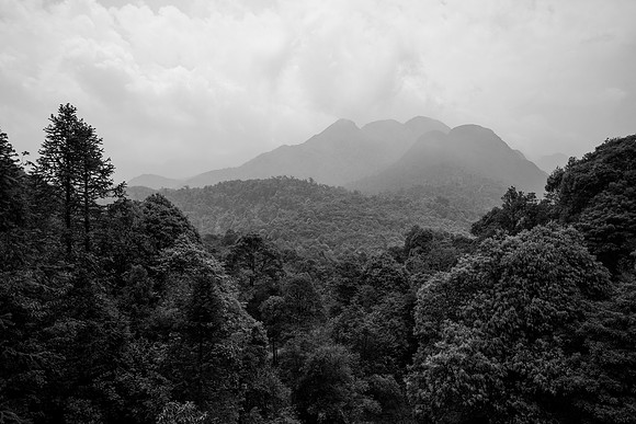 Fansipan Mountain ~Sapa