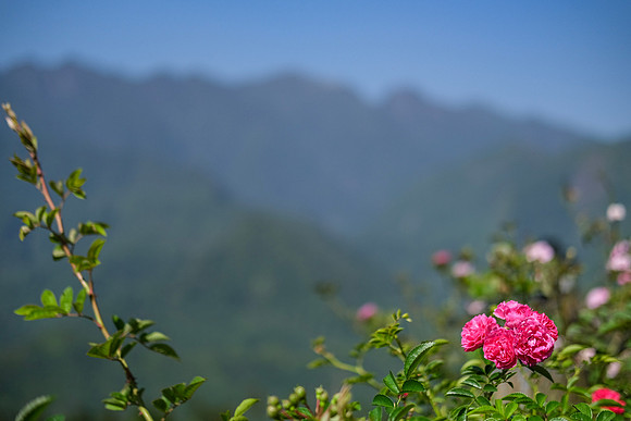 Hoan Lien So'n Range ~Sapa