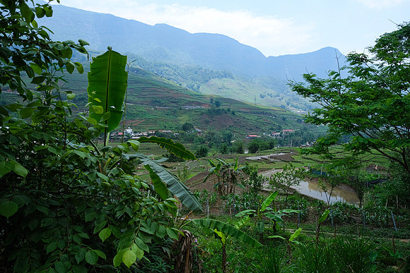 Fertile Valley ~Sapa