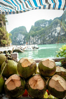 Coconuts - Sungsot Cave ~Halong Bay, Vietnam