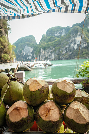 Coconuts - Sungsot Cave ~Halong Bay, Vietnam