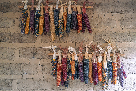 Corn on the Wall ~Antigua