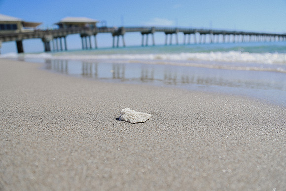 Dania Pier ~Fort Lauderdale, FL