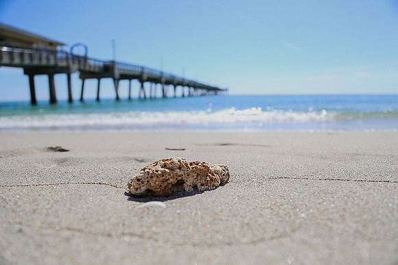 Dania Pier ~Fort Lauderdale, FL