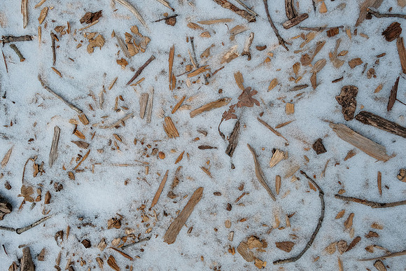 Frozen Trail ~Pleasant Prairie, WI