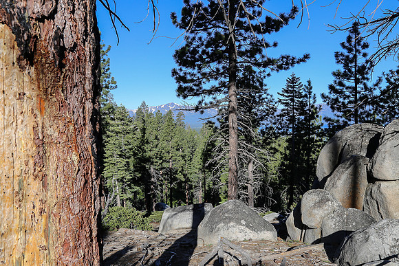 Lake Tahoe ~CA