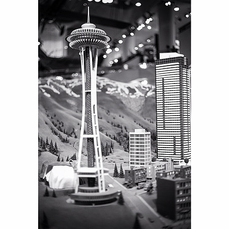 Space Needle ~Museum of Science & Industry, Chicago, IL