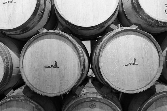Wine Country ~Napa, CA