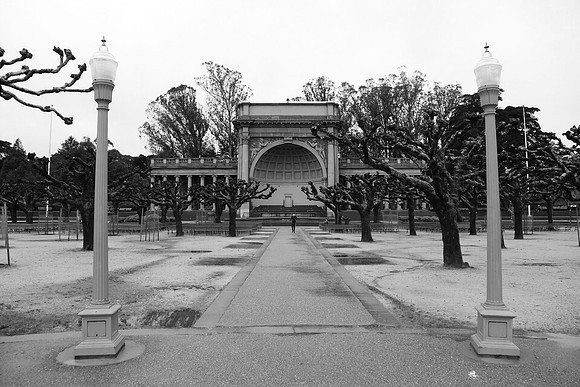 Golden Gate Park ~San Francisco, CA
