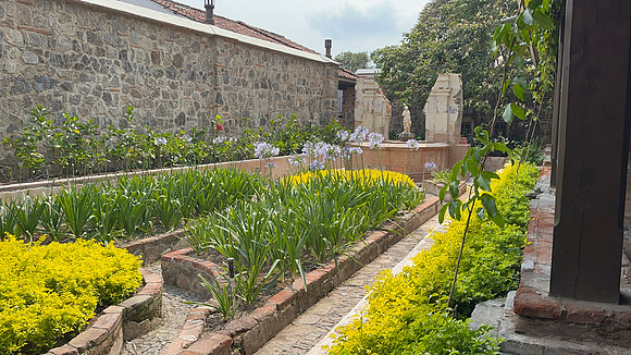 Garden ~Antigua, Guatemala
