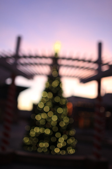 Christmas ~Wheeling, IL