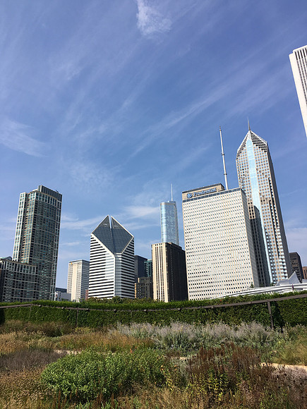 Millenium Park ~Chicao, IL