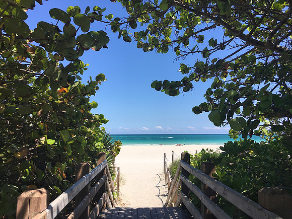 Along the Boardwalk ~Miami Beach, FL