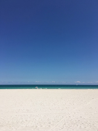 Sandy ~Miami Beach, FL