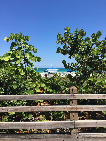 Along the Boardwalk ~Miami Beach, FL