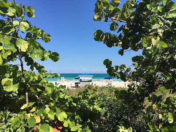 Along the Boardwalk ~Miami Beach, FL