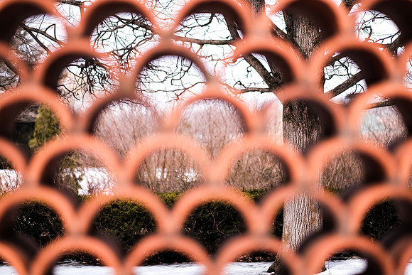 English Gardens ~Chicago Botanic Gardens, Glencoe, IL