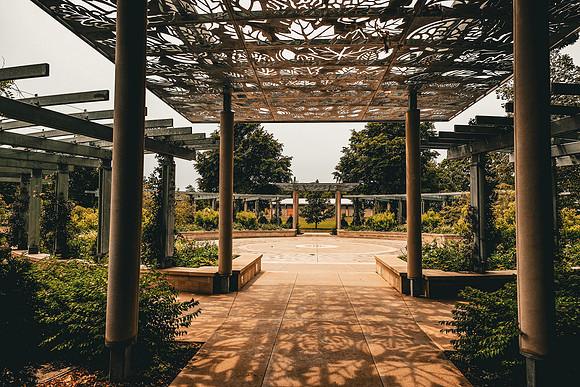 Morton Arboretum ~Lisle, IL