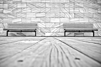 Diversity of Lines ~Sydney Cove, Sydney, Australia