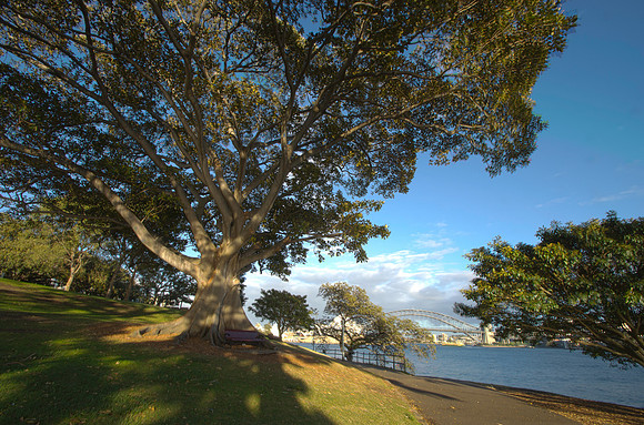 Mrs Macquarie's Point ~Sydney, Australia