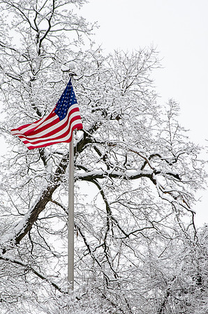 Pride & Winter ~Wheeling, IL