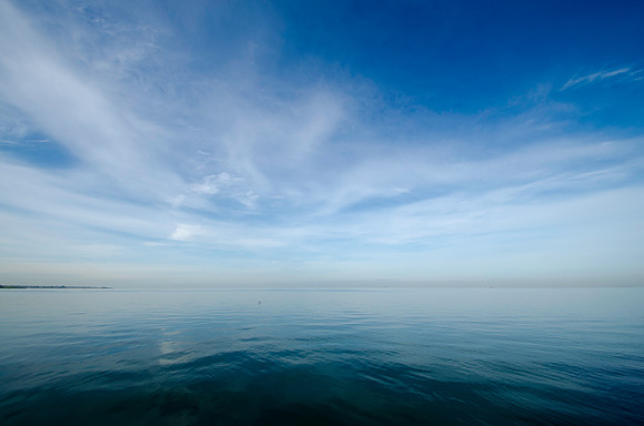 Blue & White ~Melbourne, Australia