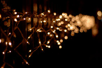 Christmas Lights ~Chicago, IL
