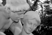 The Couple - Garfield Park Conservatory ~Chicago, IL
