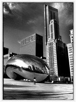 The Bean - Millennium Park ~Chicago, IL