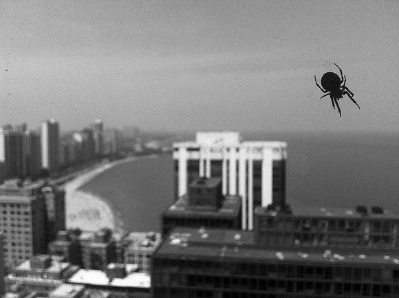 Nightmare Over the City ~Chicago, IL