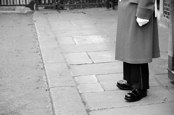 Guard - St. James's Palace ~London, UK