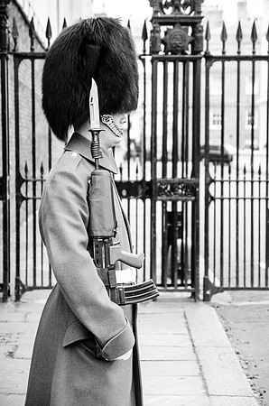 Guard - St. James's Palace ~London, UK