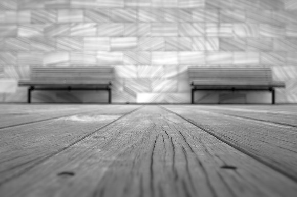 Diversity of Lines ~Sydney Cove, Sydney, Australia
