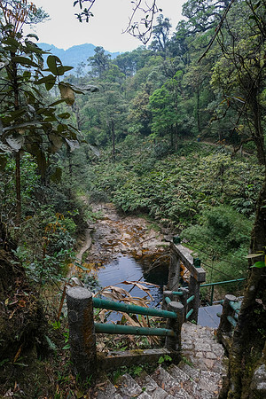 Love Waterfall Hike ~Lai Chau