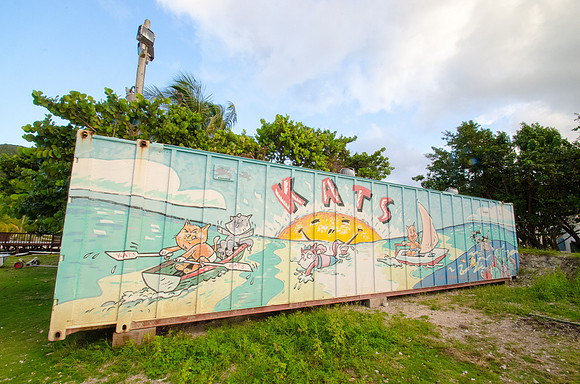 Kats ~Tortola, British Virgin Islands