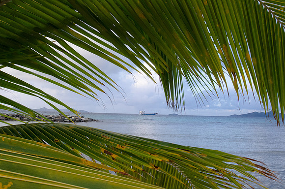 Contrasting Blues ~Tortola, British Virgin Islands