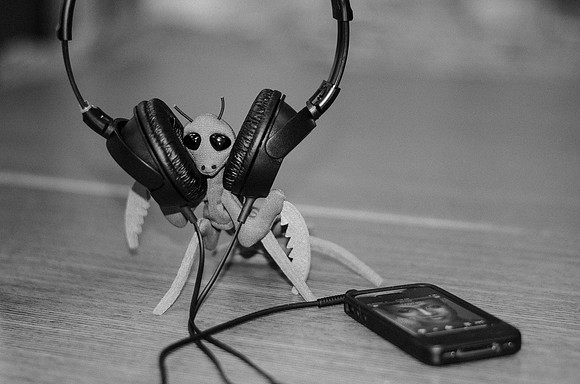 Addicted to Tunes - Puppet Praying Mantis ~Chicago, IL
