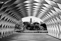 Curvaceous Wood Pavilion by Studio Gang Architects - Lincoln Park Zoo ~Chicago, IL